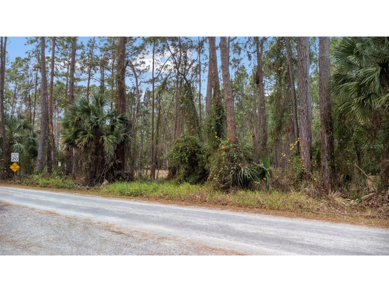 Sanctuary Avenue Debary FL 32713 O6276050 image16