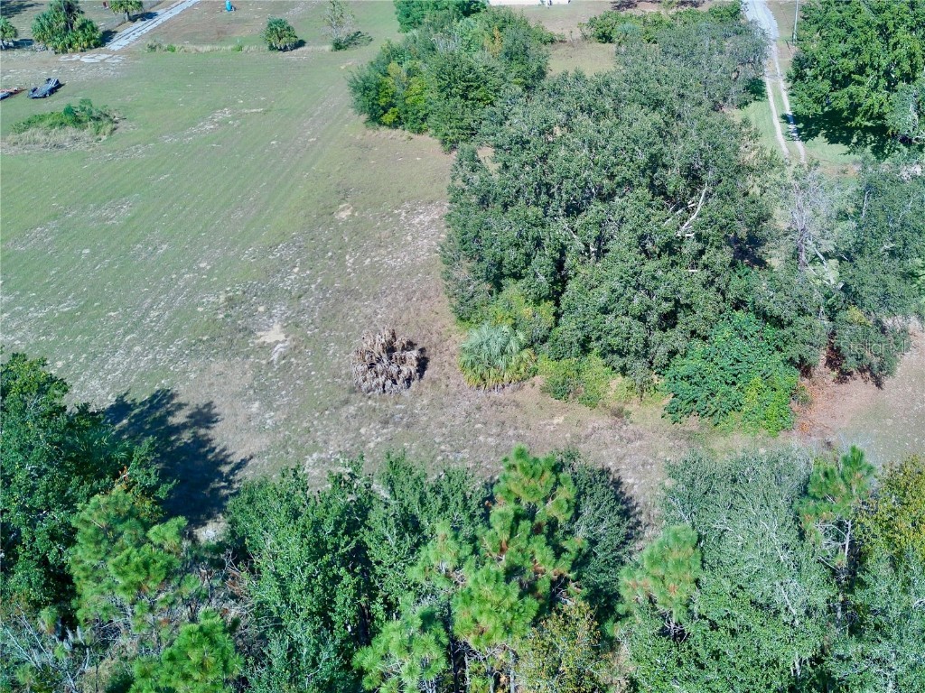 Sanders Road Davenport FL 33837 U8221599 image1