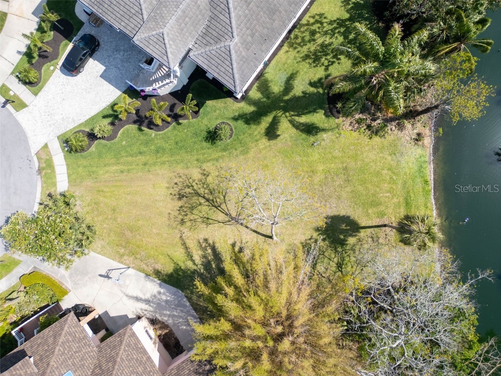 Sandpiper Pointe - Lot 89 Court Tarpon Springs FL 34689 TB8364519 image7