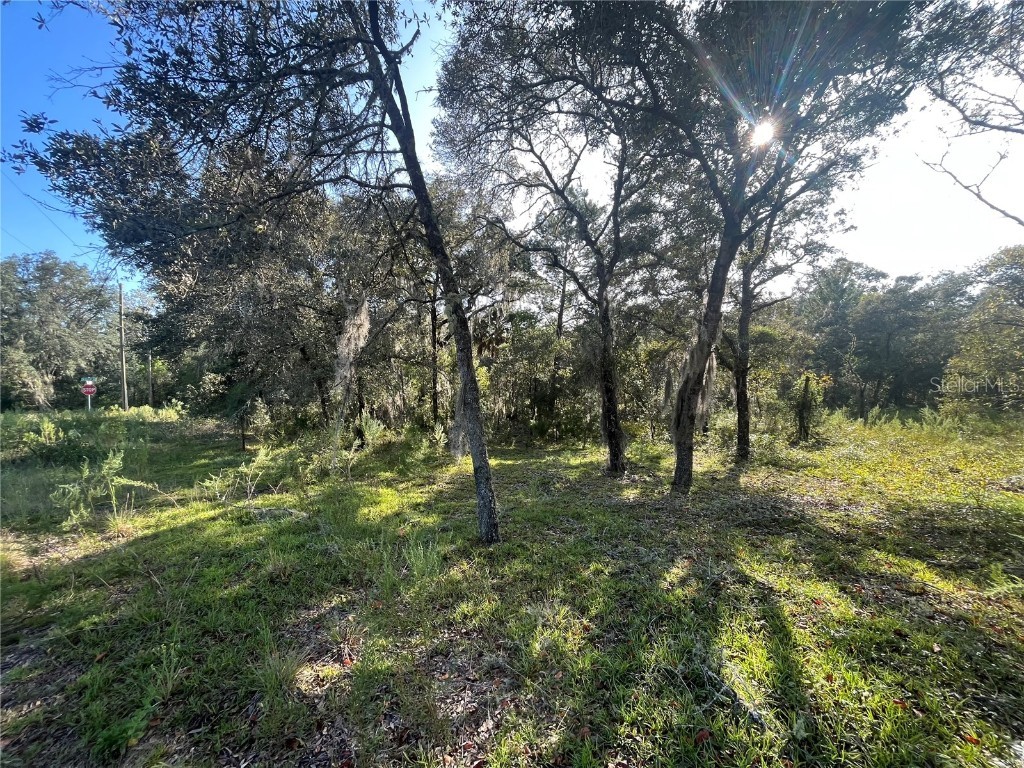Sands Point Dunnellon FL 34431 OK223264 image1