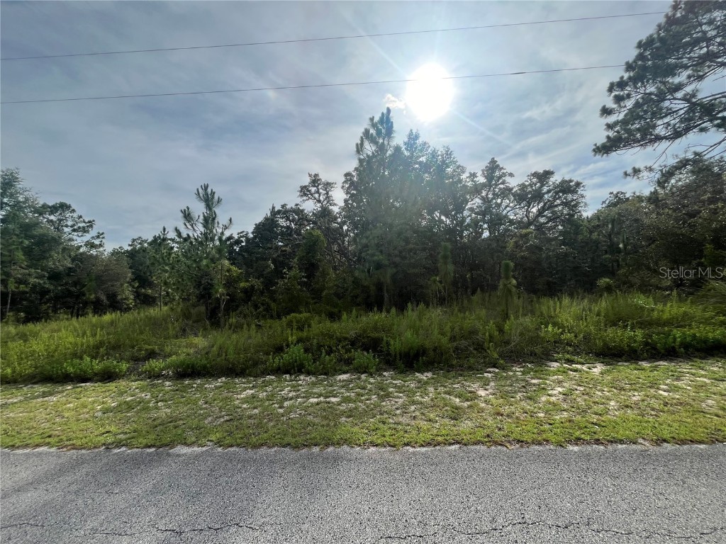 Sandspoint Dunnellon FL 34431 OK224827 image1