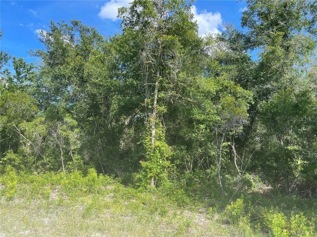 Sandstone Street Webster FL 33597 G5057175 image1