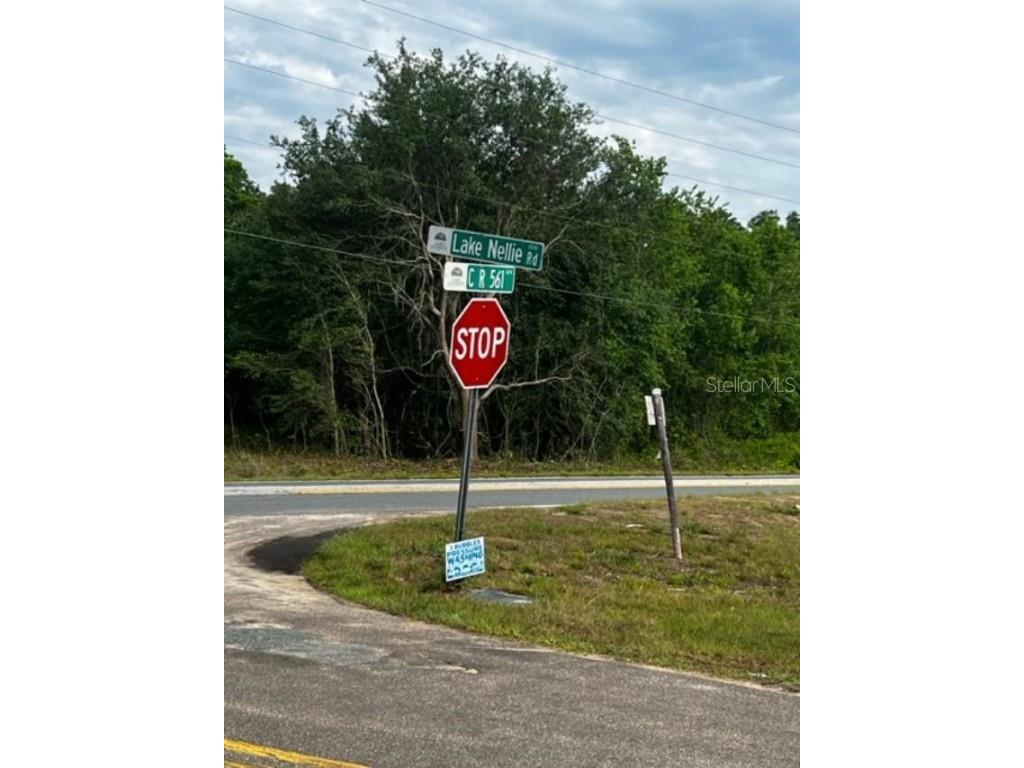 Sandy Ridge Avenue Clermont FL 34711 S5083788 image1