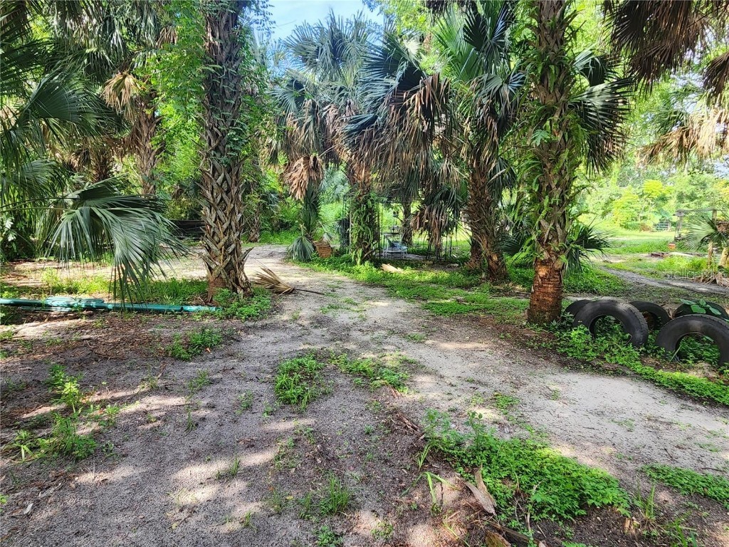 Sanford Avenue Sanford FL 32773 O6297224 image5