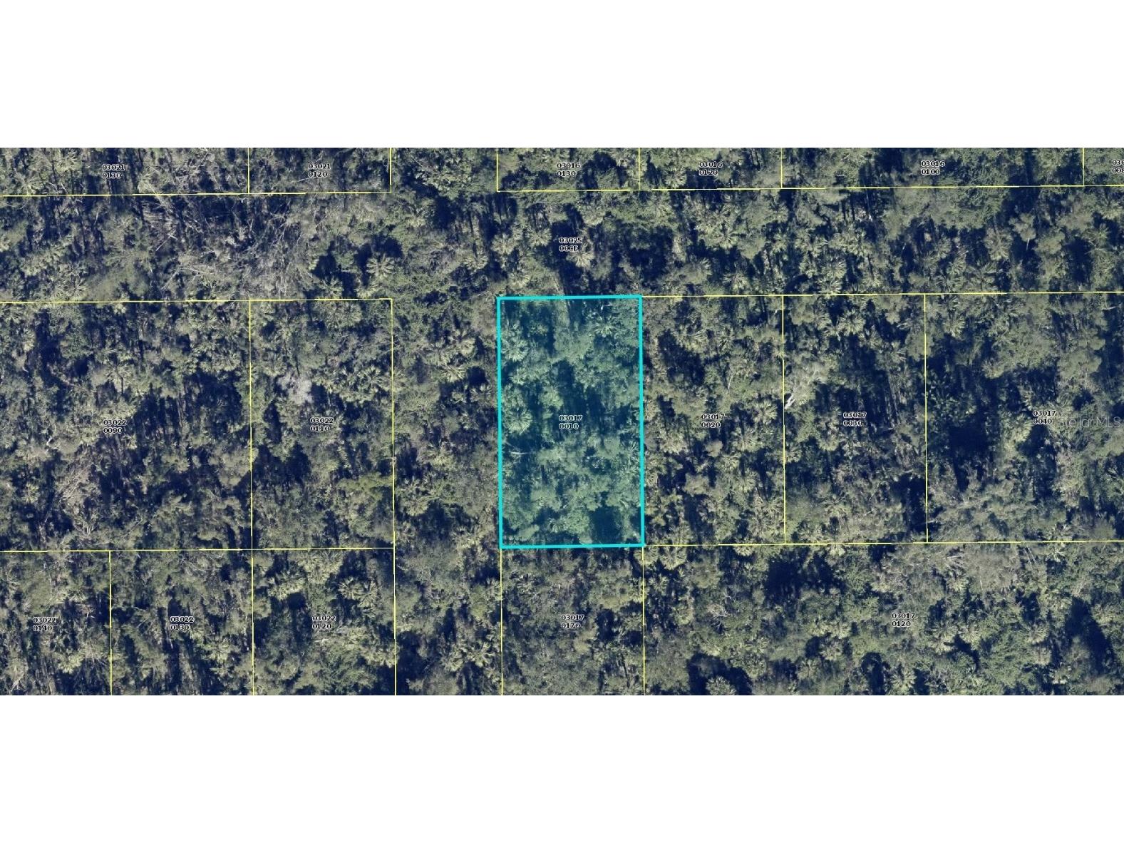 Santiago Street Estero FL 33928 A4586618 image1