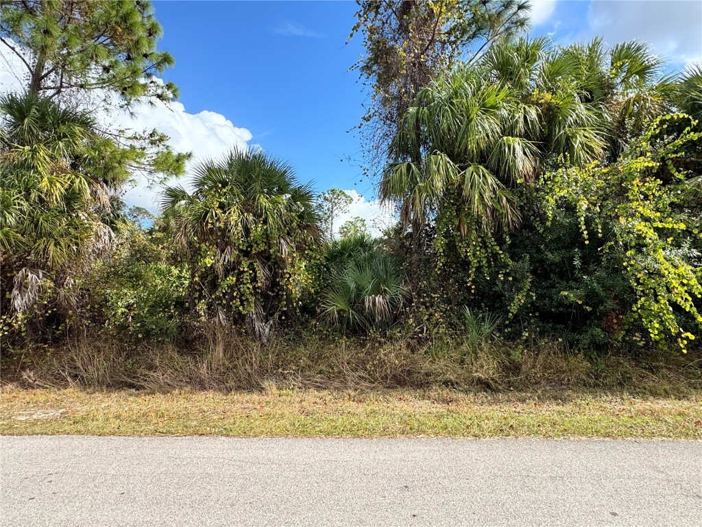 Sapelo Avenue North Port FL 34286 D6145269 image2