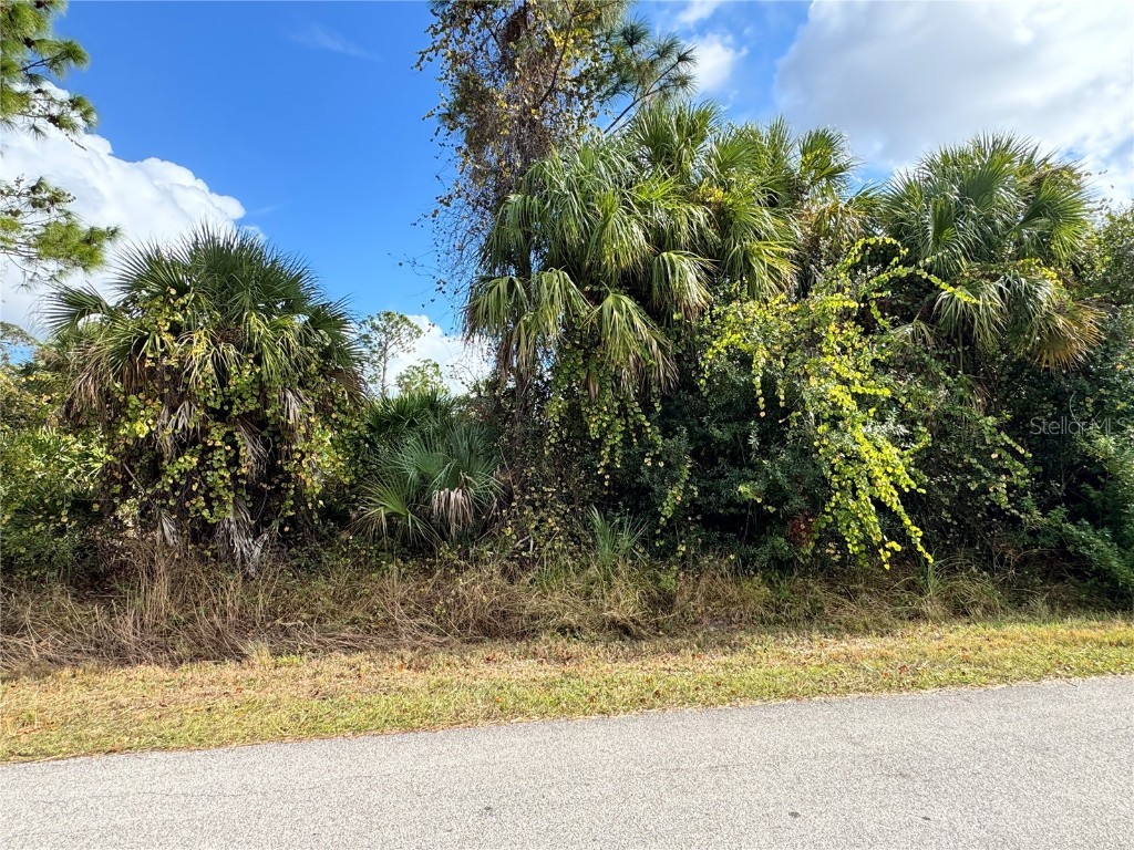 Sapelo Avenue North Port FL 34286 D6145269 image3