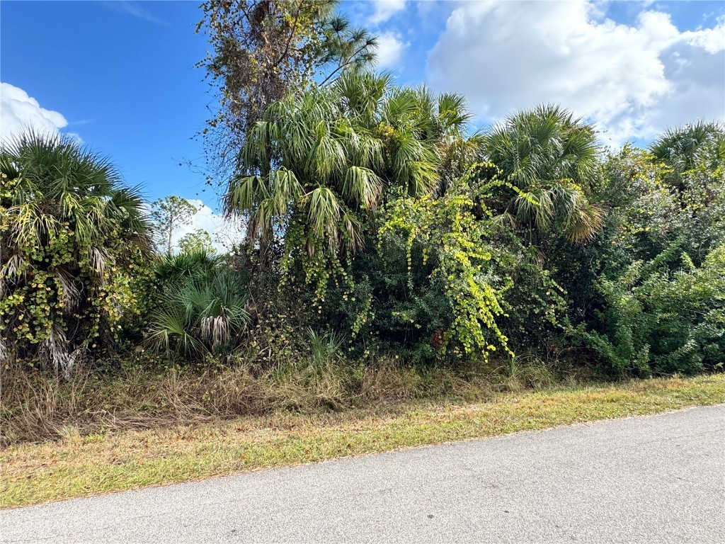 Sapelo Avenue North Port FL 34286 D6145269 image4