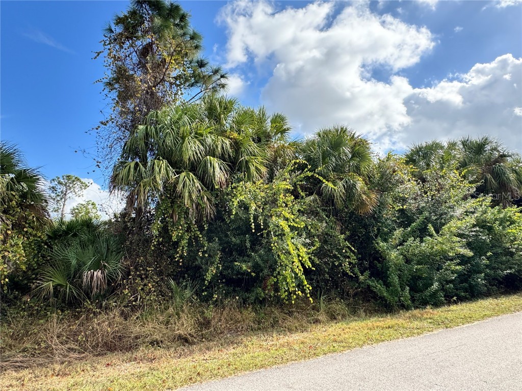 Sapelo Avenue North Port FL 34286 D6145269 image5