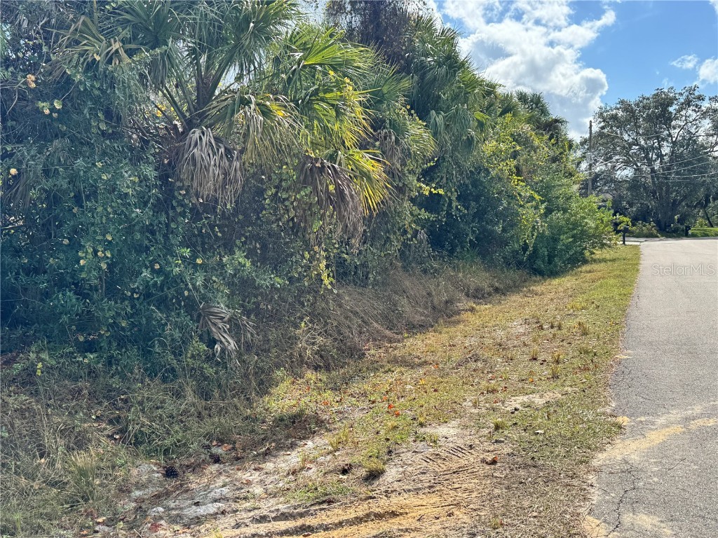 Sapelo Avenue North Port FL 34286 D6145269 image9