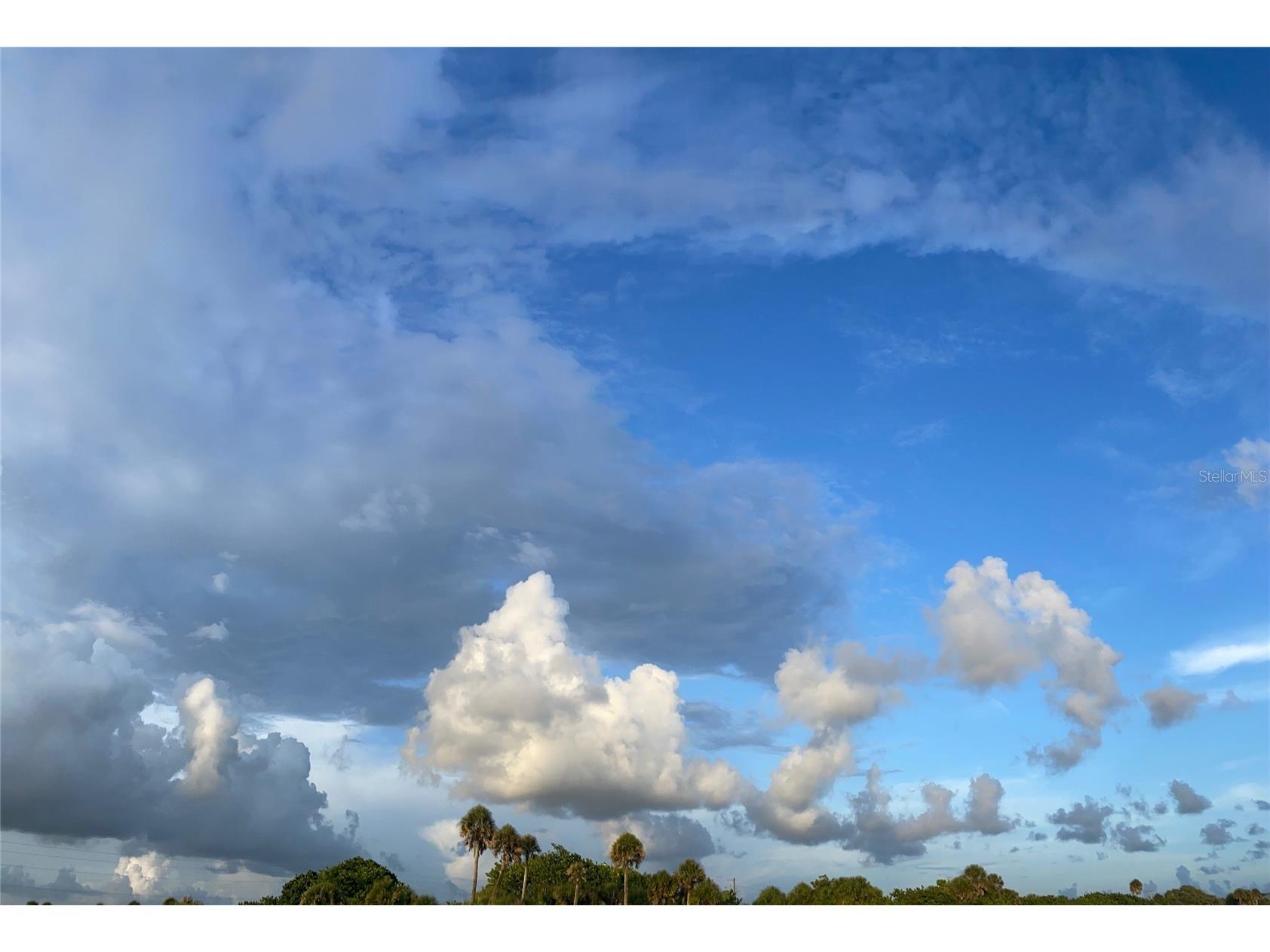 Saragossa Lane North Port FL 34287 A4543936 image7