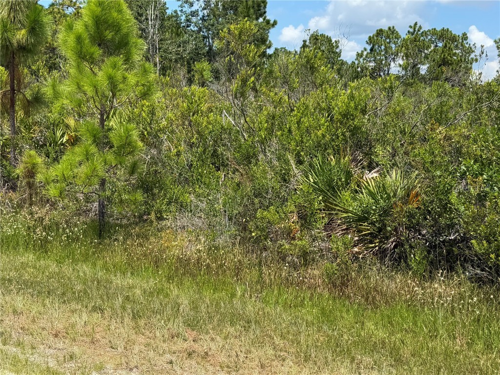 Sarasota Drive #11 Indian Lake Estates FL 33855 R4909635 image6