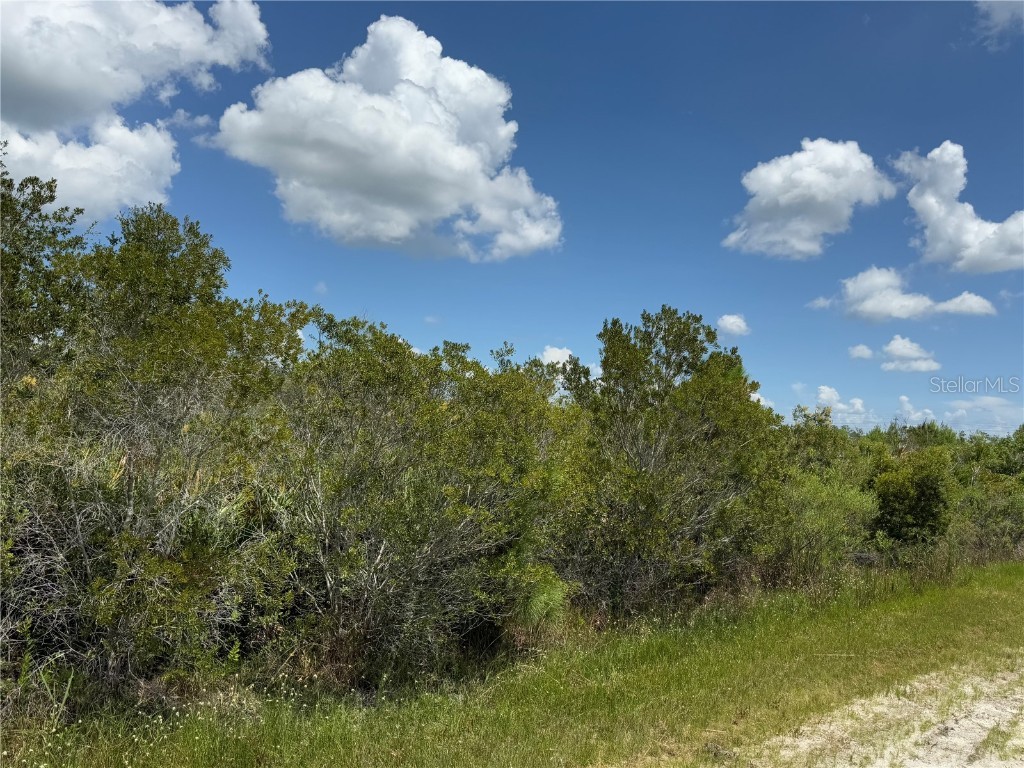 Sarasota Drive #11 Indian Lake Estates FL 33855 R4909635 image7