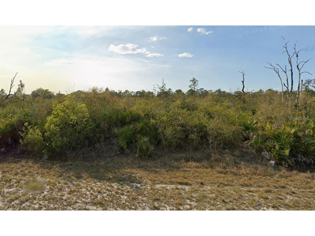 Sarasota Drive Indian Lake Estates FL 33855 A4666062 image1