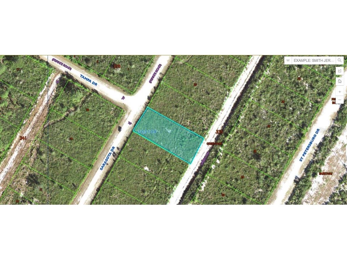 Sarasota Drive Indian Lake Estates FL 33855 O6269880 image1