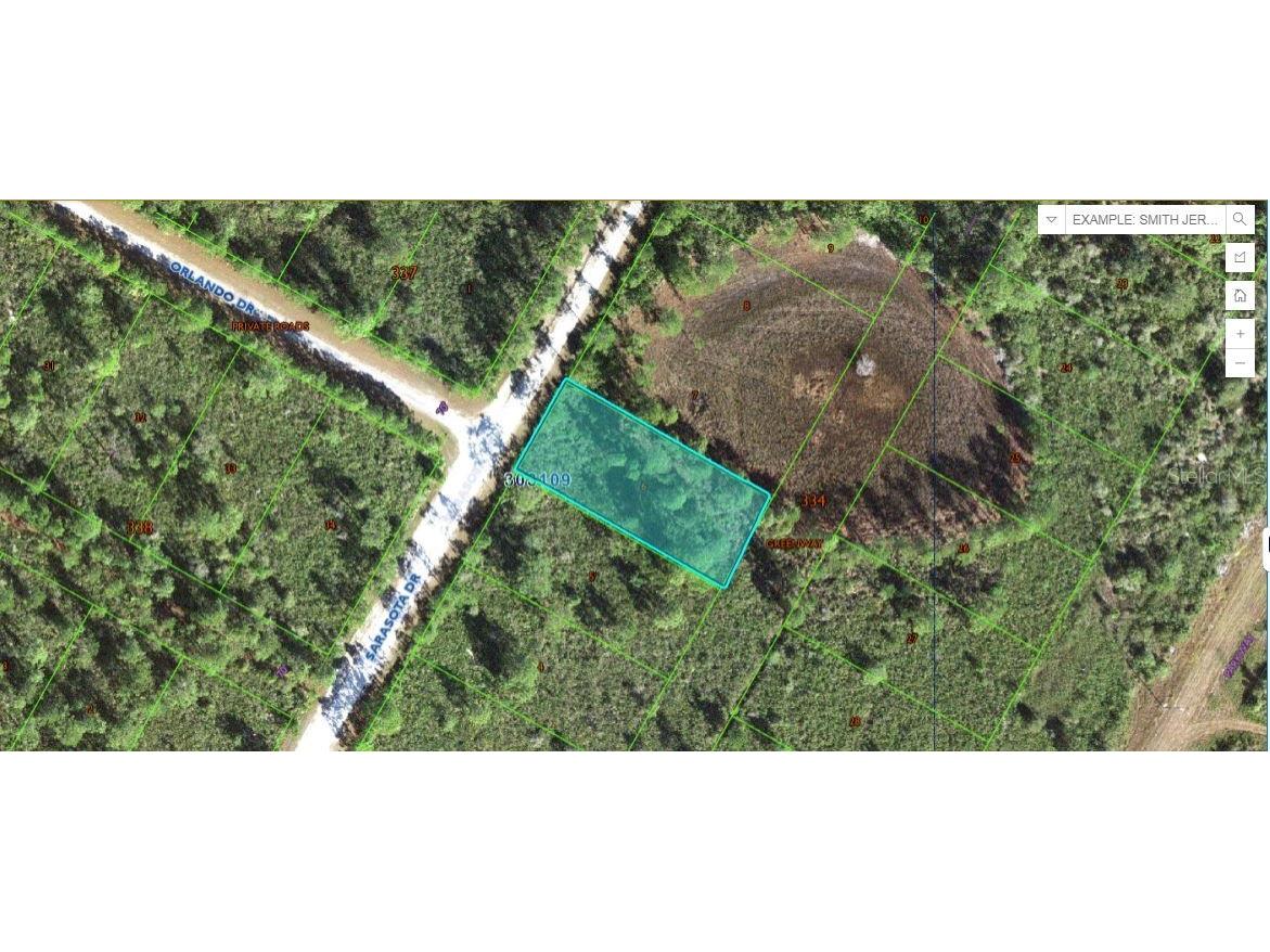 Sarasota Drive Indian Lake Estates FL 33855 O6269887 image1