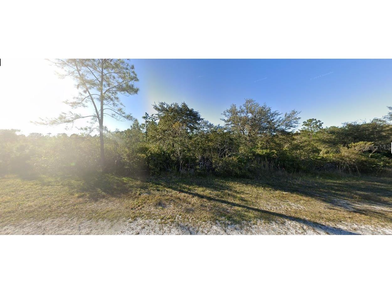 Sarasota Drive Indian Lake Estates FL 33855 O6269887 image2