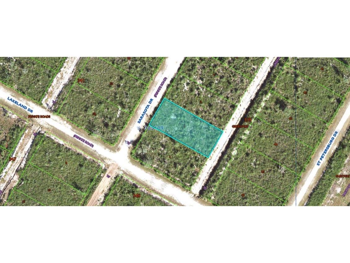 Sarasota Drive Indian Lake Estates FL 33855 O6312967 image1