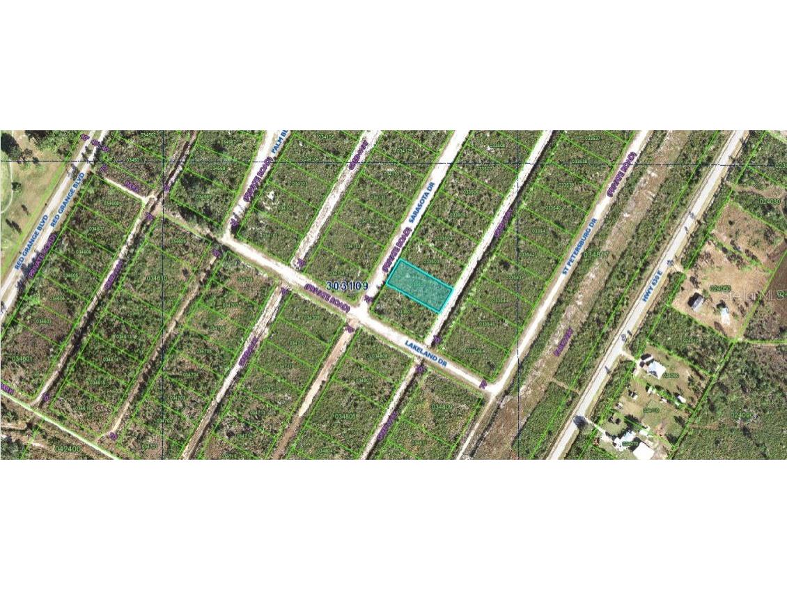 Sarasota Drive Indian Lake Estates FL 33855 O6312967 image4