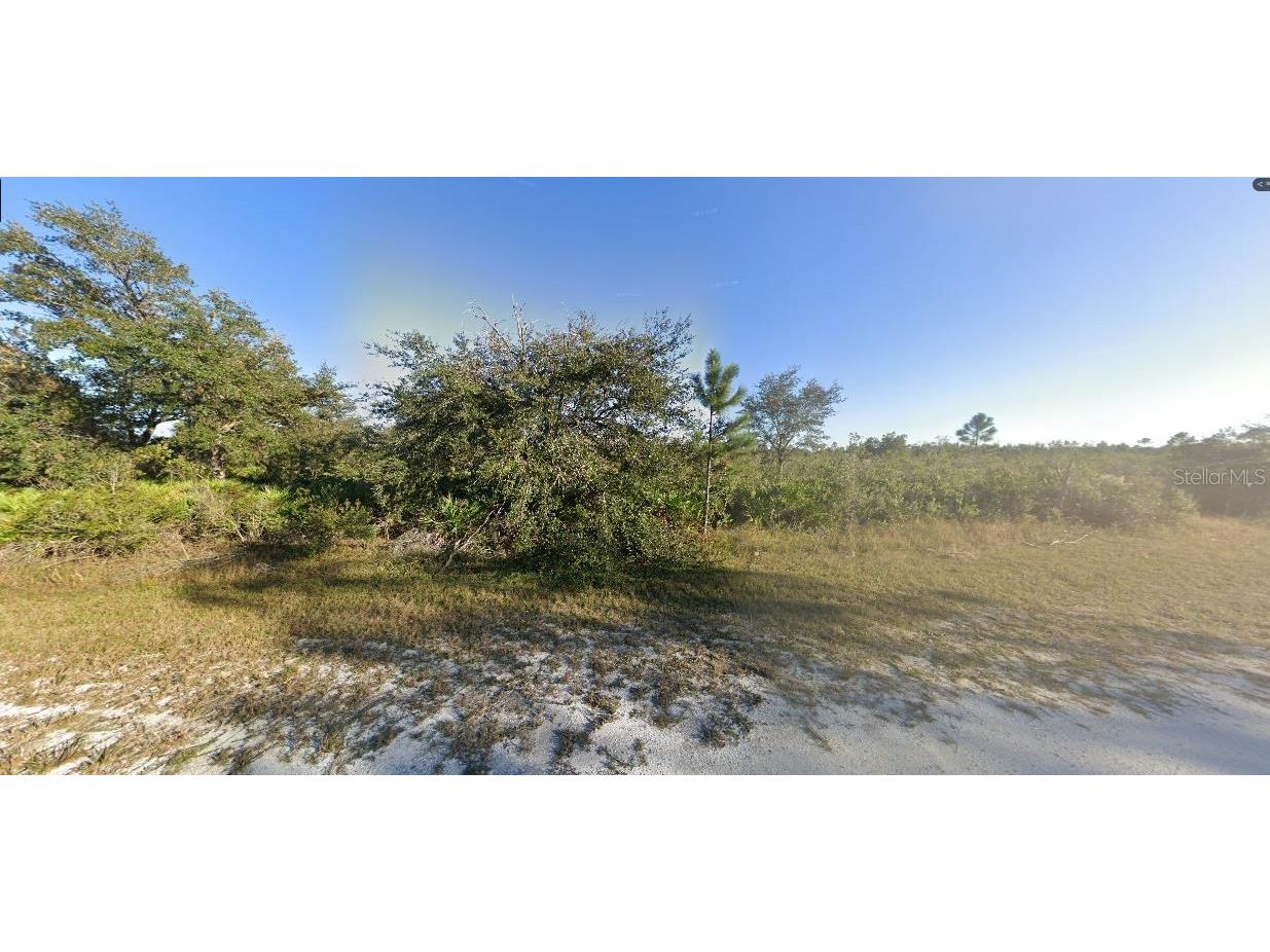 Sarasota Drive Indian Lake Estates FL 33855 O6312967 image5