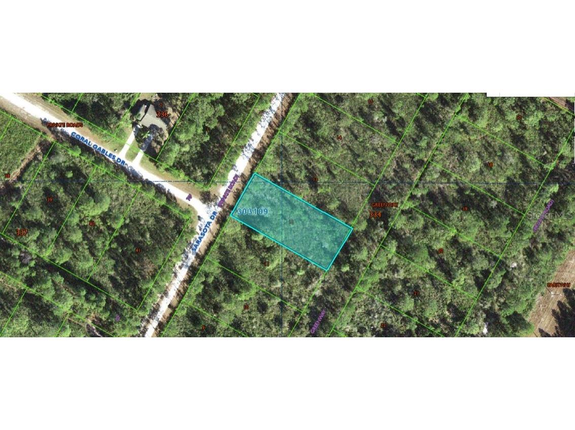 Sarasota Drive Indian Lake Estates FL 33855 O6312970 image1