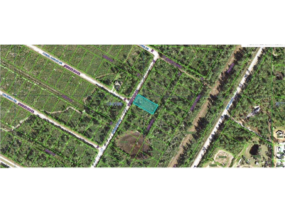 Sarasota Drive Indian Lake Estates FL 33855 O6312970 image4