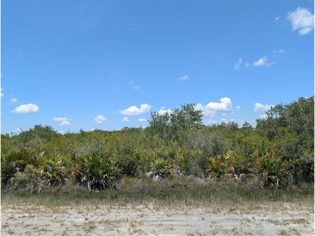 Sarasota Drive Indian Lake Estates FL 33855 - LAKE WALK-IN-WATER TB8412151 image1