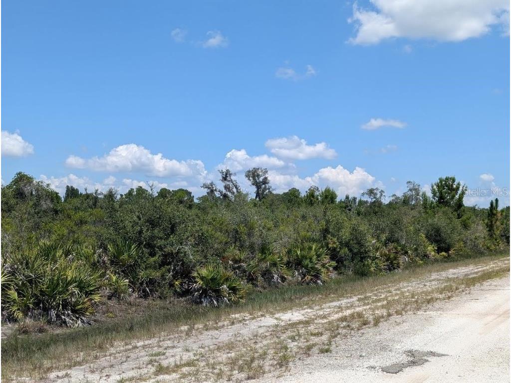 Sarasota Drive Indian Lake Estates FL 33855 - LAKE WALK-IN-WATER TB8412151 image2