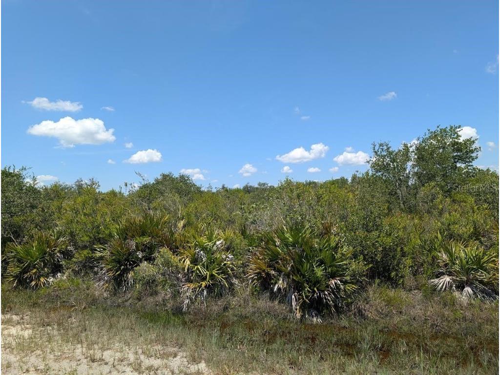 Sarasota Drive Indian Lake Estates FL 33855 - LAKE WALK-IN-WATER TB8412151 image3