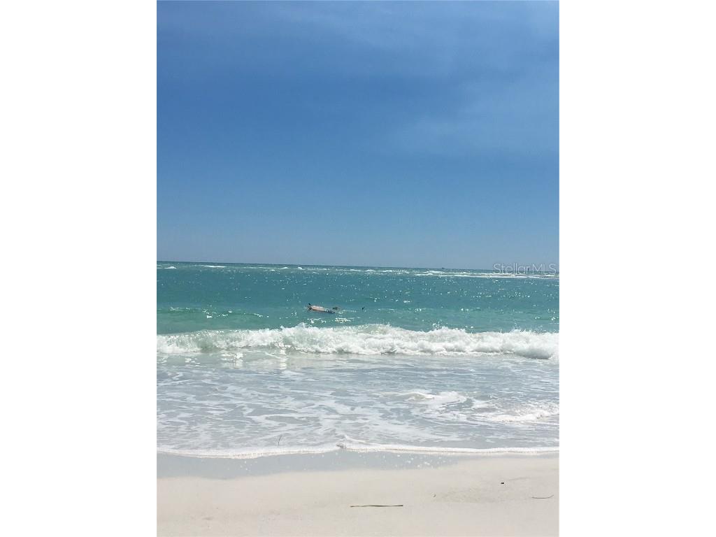  Sarasota FL 34236 A4516111 image12