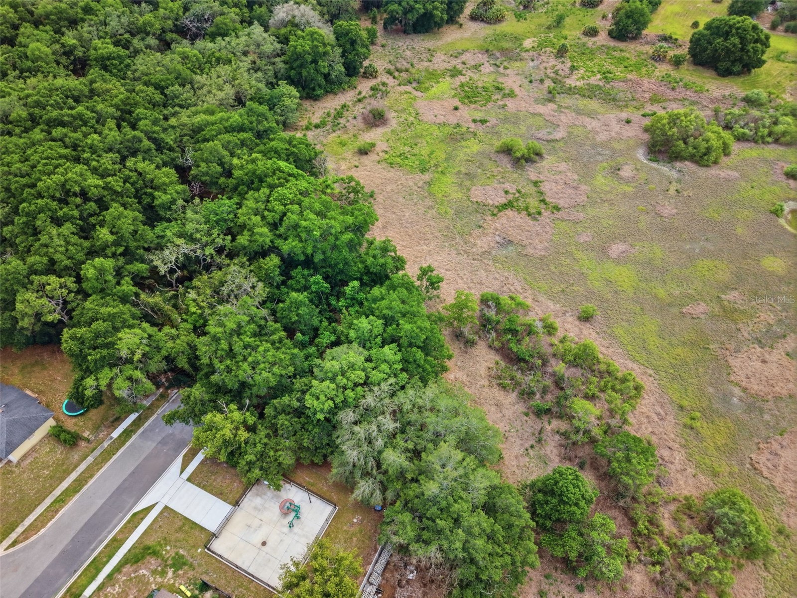 Sardina Boulevard Orlando FL 32818 - Horseshoe Lake O6409633 image11