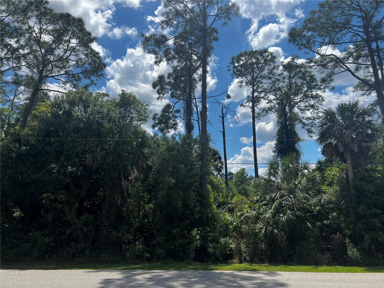 Sardinia Avenue North Port FL 34286 A4687521 image1
