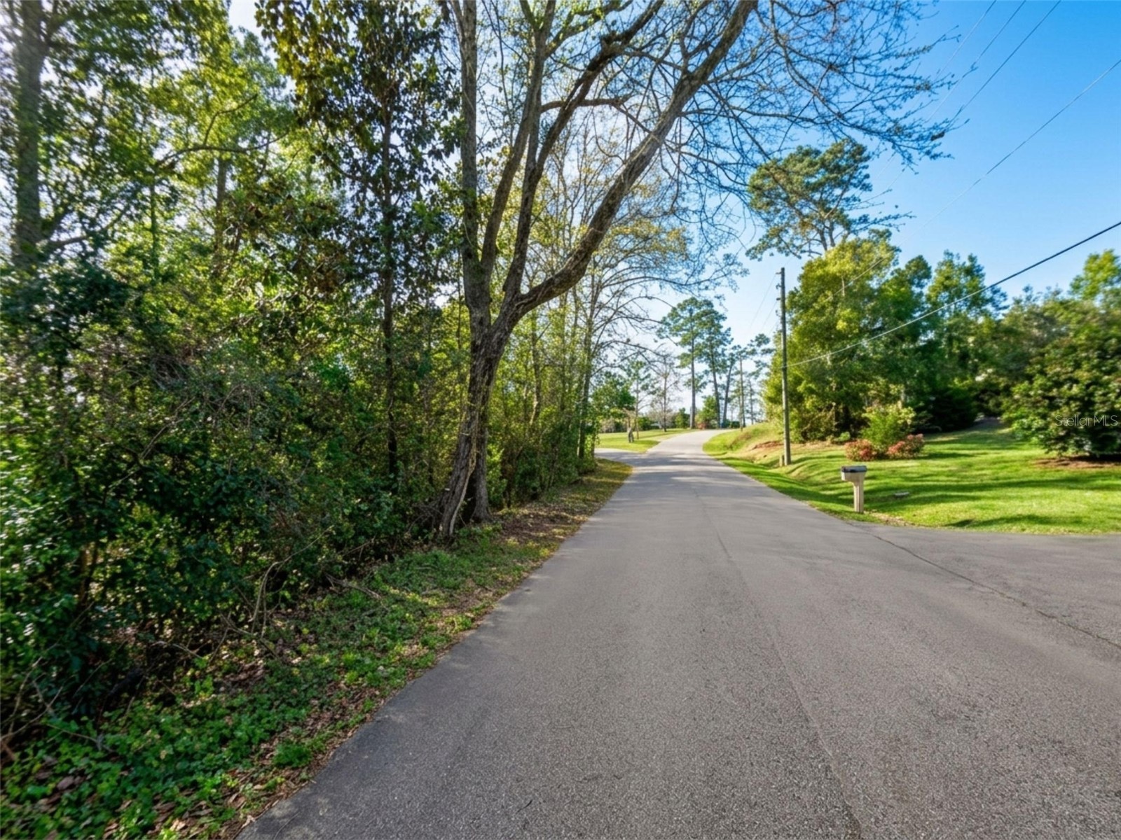 Satsuma Rd Chattahoochee FL 32324 S5151233 image1