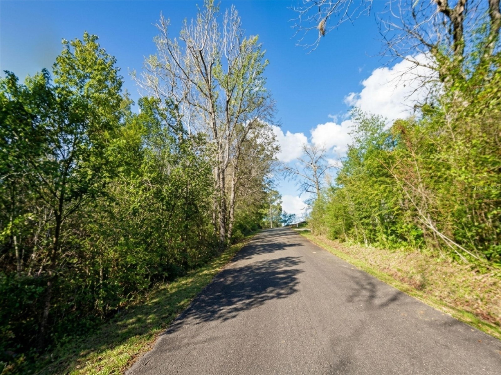 Satsuma Rd Chattahoochee FL 32324 S5151233 image2