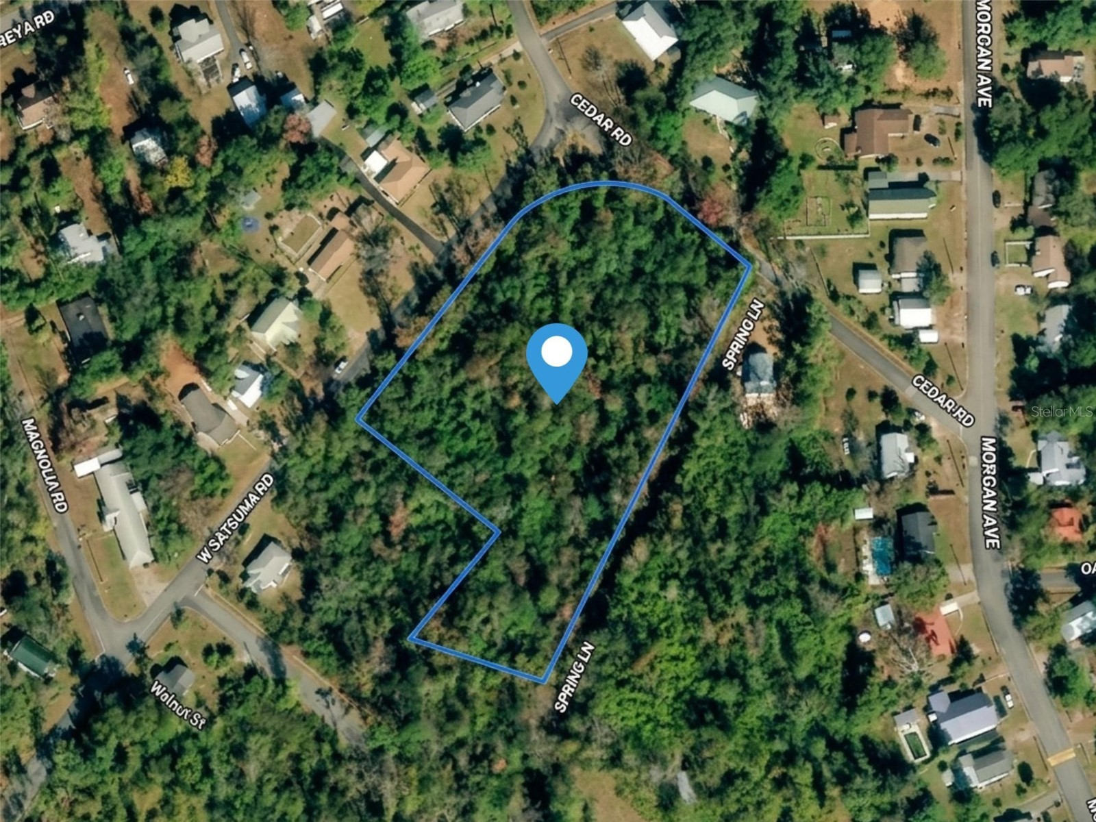 Satsuma Rd Chattahoochee FL 32324 S5151233 image3