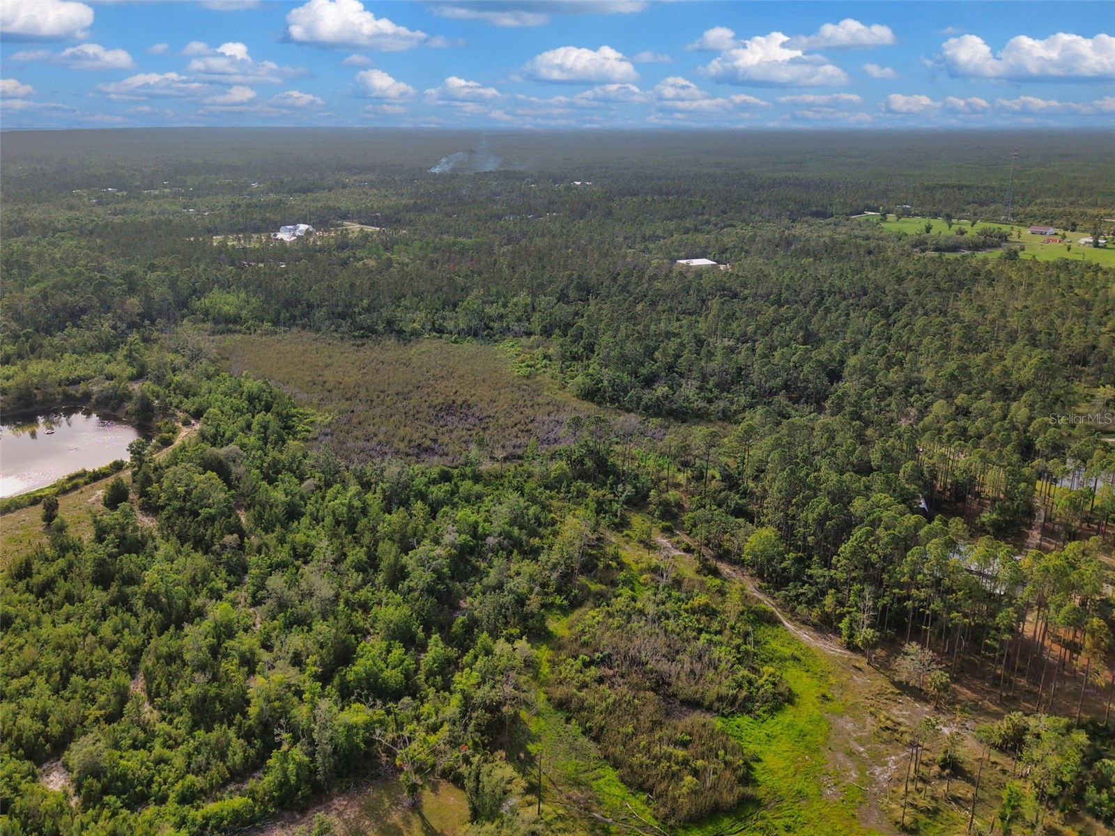 Savanna Lane Steinhatchee FL 32359 GC540269 image10