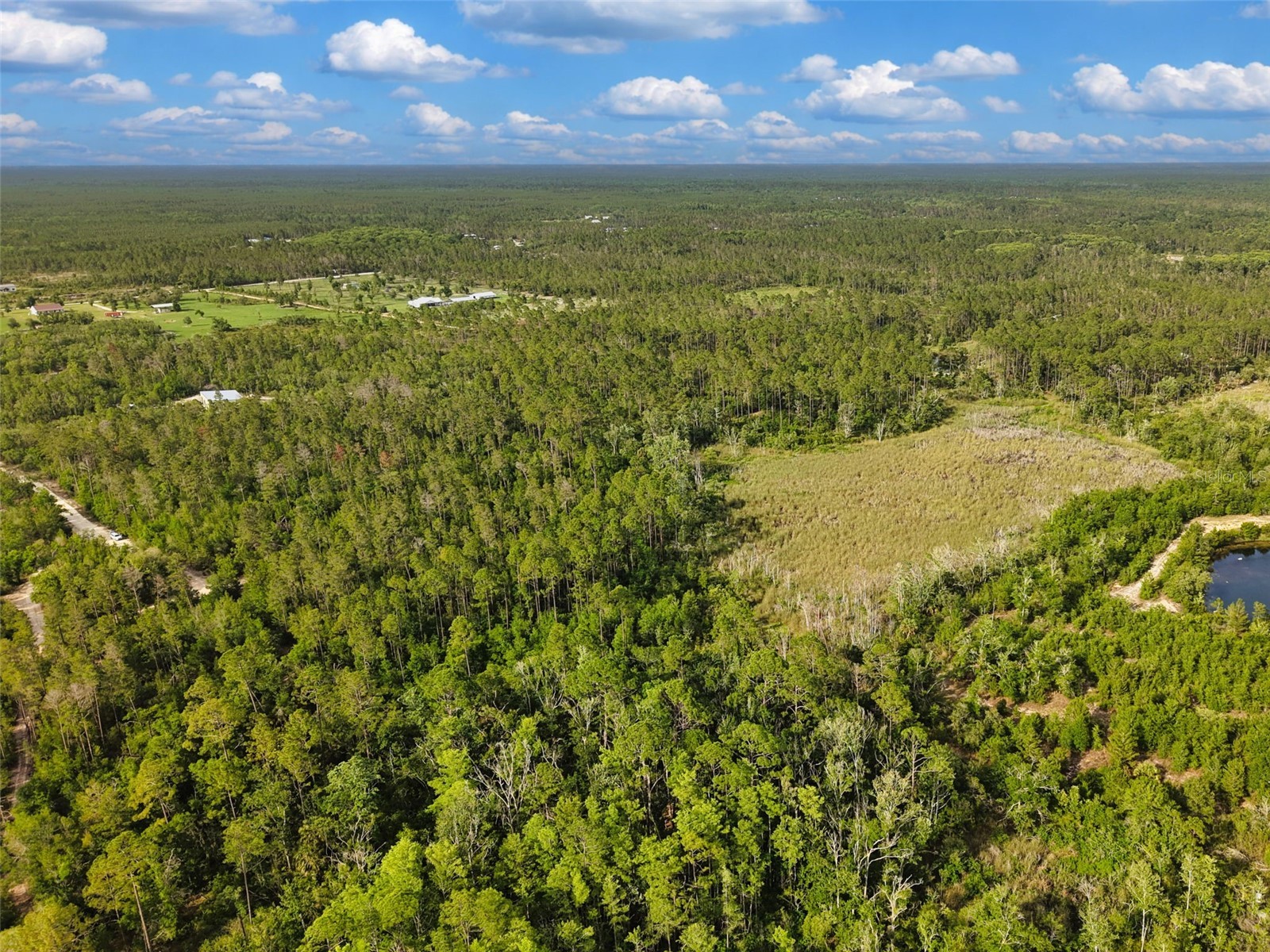 Savanna Lane Steinhatchee FL 32359 GC540269 image12