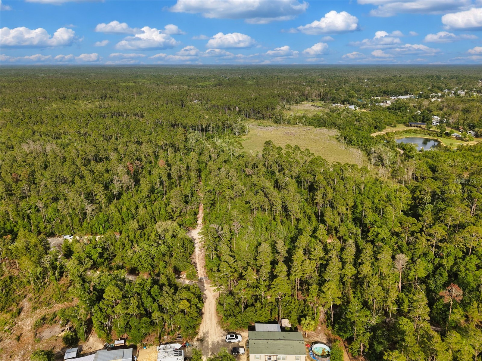 Savanna Lane Steinhatchee FL 32359 GC540269 image13