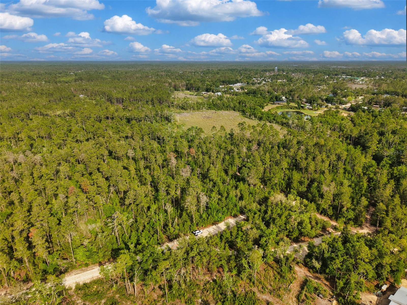 Savanna Lane Steinhatchee FL 32359 GC540269 image14