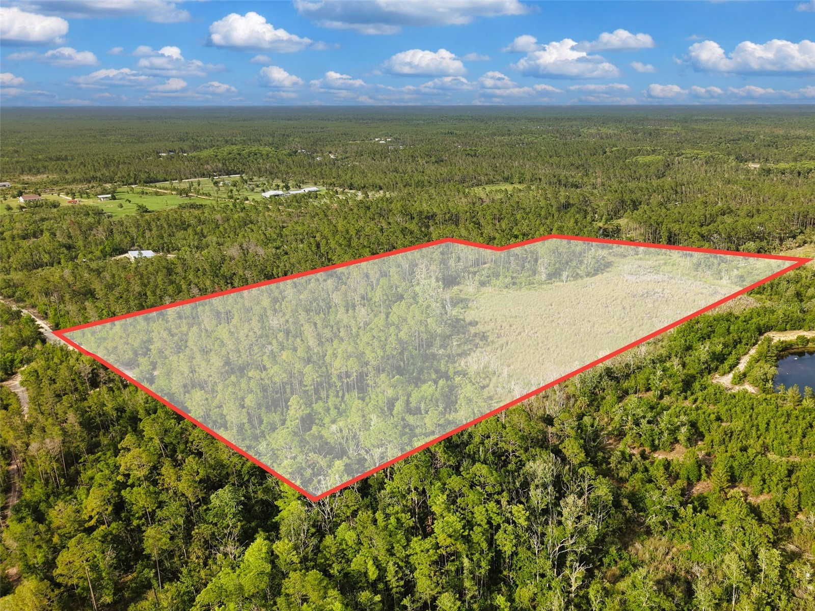 Savanna Lane Steinhatchee FL 32359 GC540269 image16