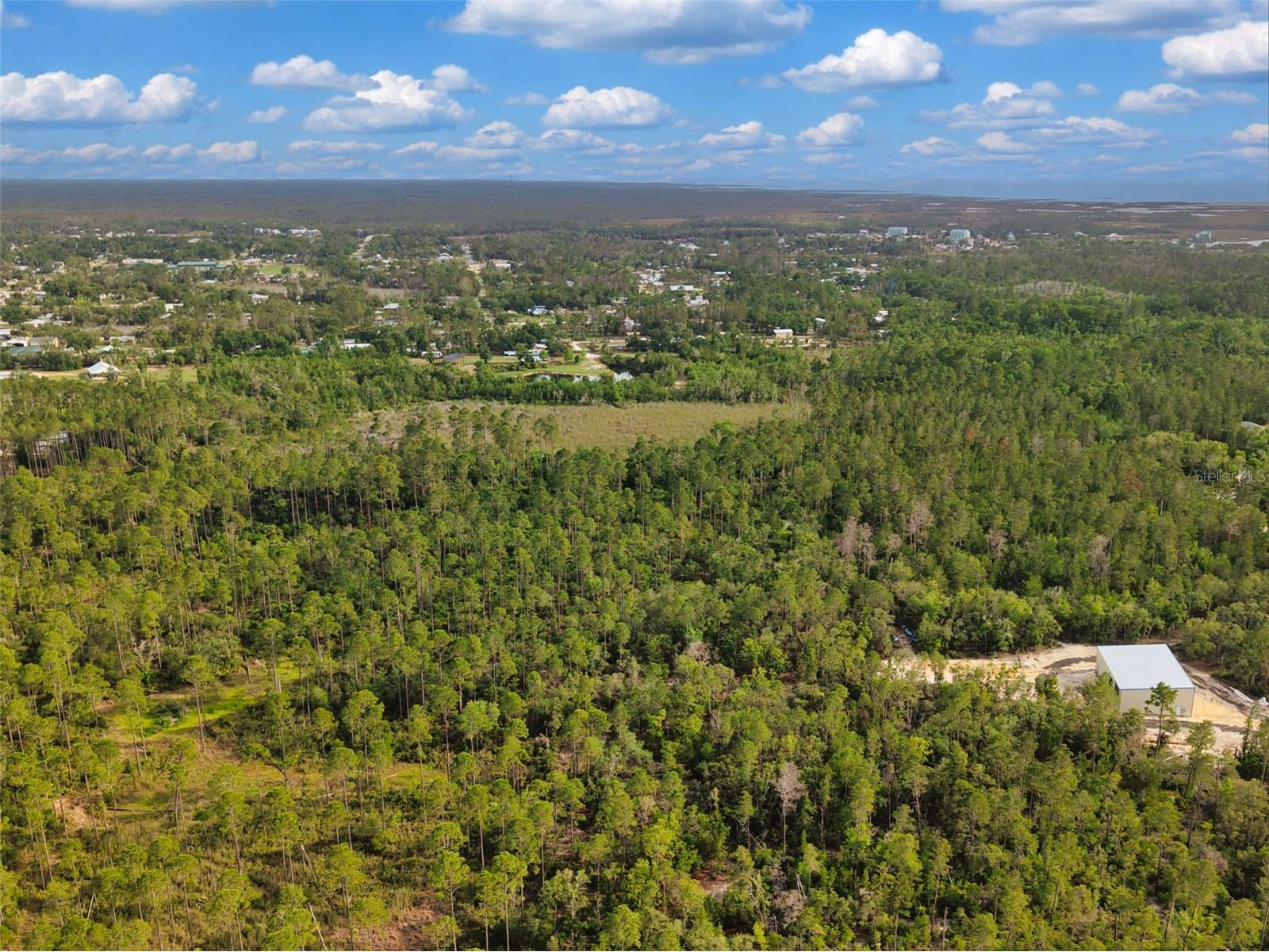 Savanna Lane Steinhatchee FL 32359 GC540269 image2