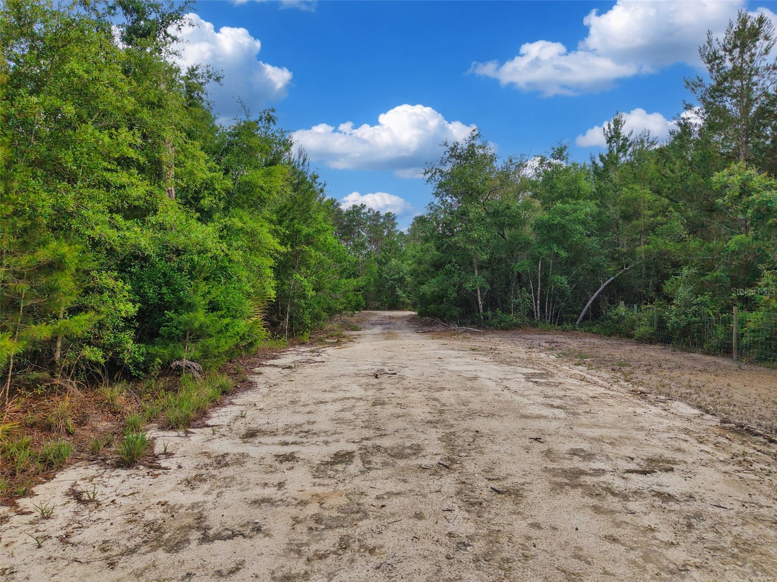 Savanna Lane Steinhatchee FL 32359 GC540269 image5