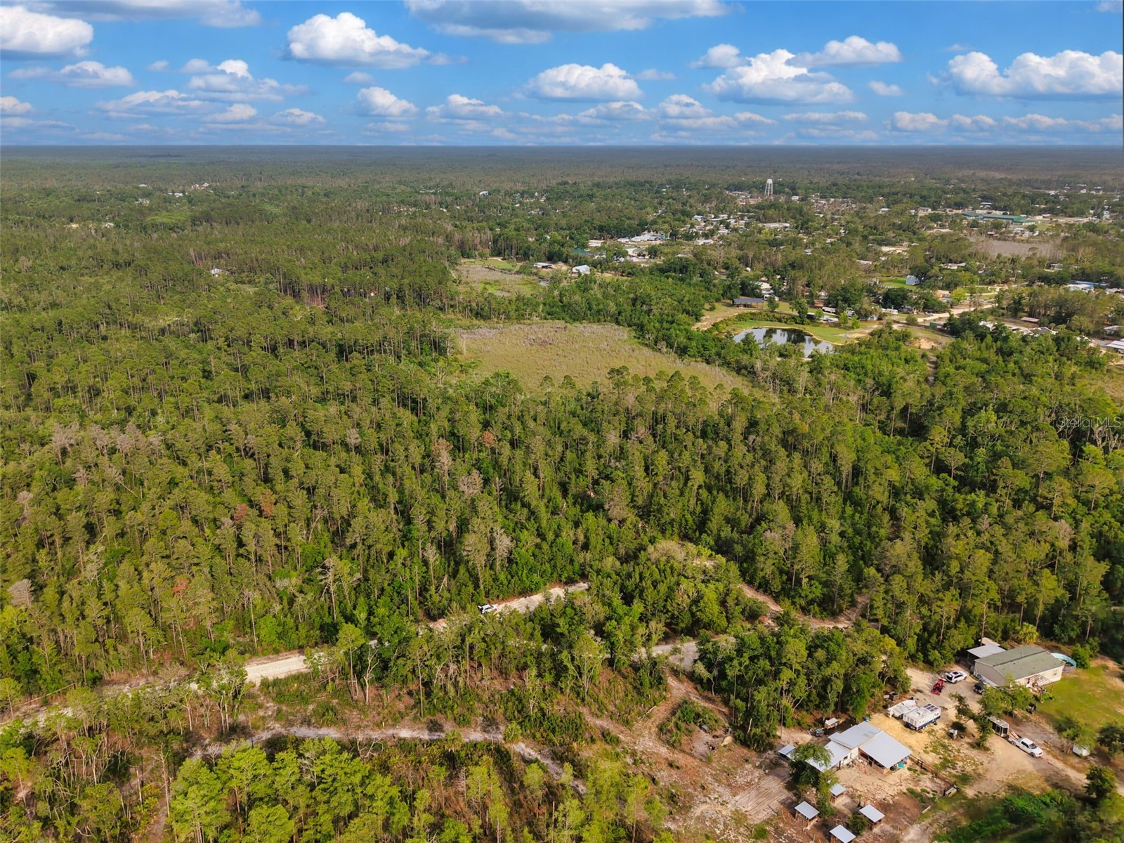 Savanna Lane Steinhatchee FL 32359 GC540269 image7