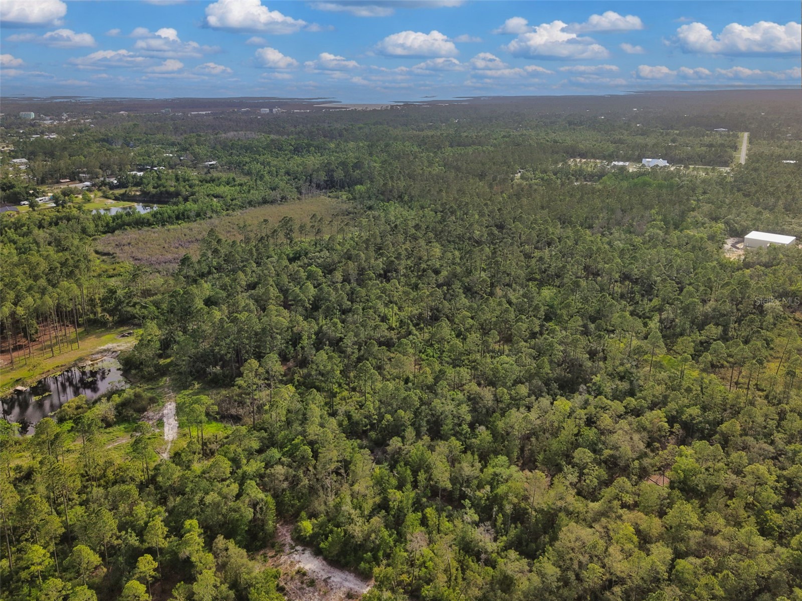 Savanna Lane Steinhatchee FL 32359 GC540269 image8