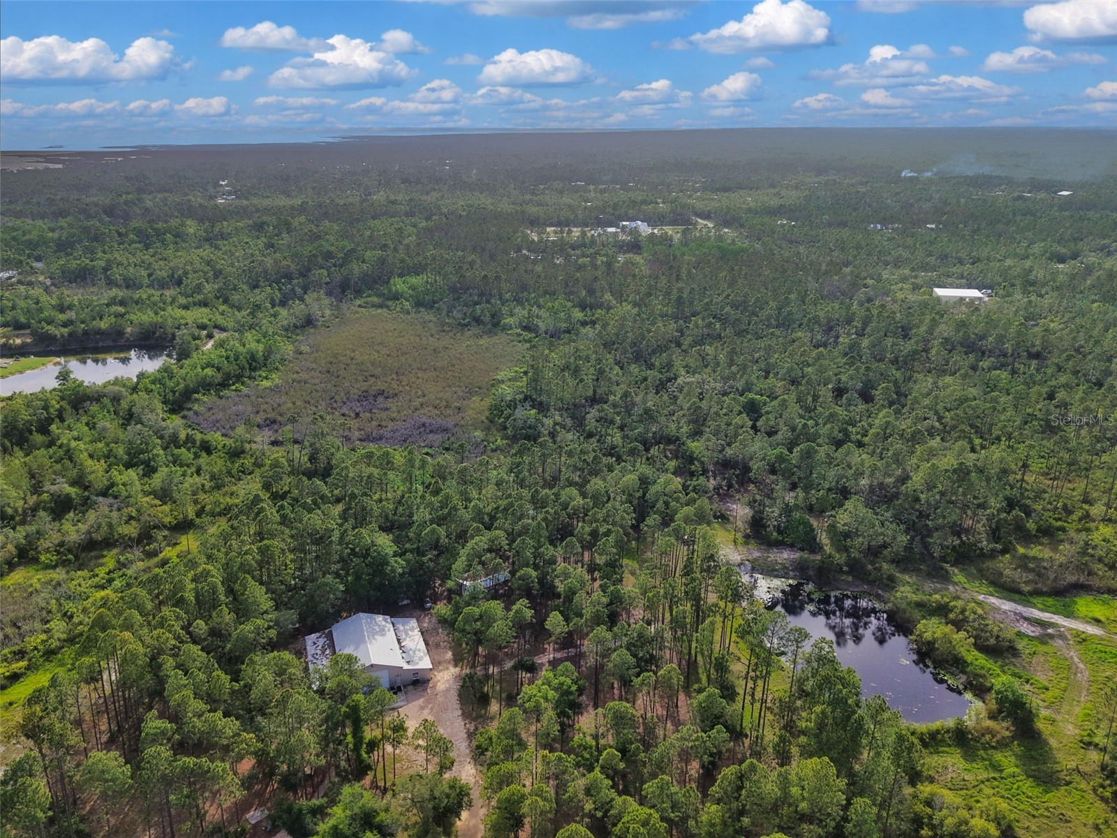 Savanna Lane Steinhatchee FL 32359 GC540269 image9