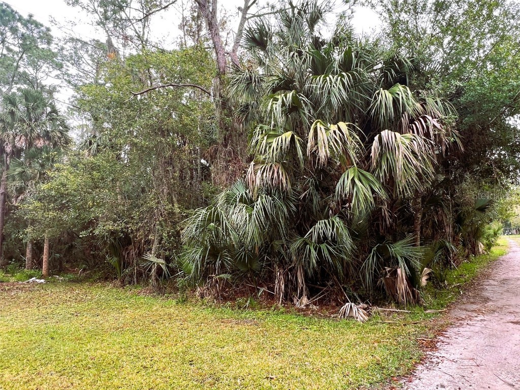 Savanna Street Debary FL 32713 G5075509 image1