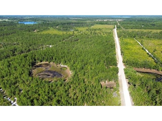 Sawgrass Fill Road Eustis FL 32736 L4952342 image1