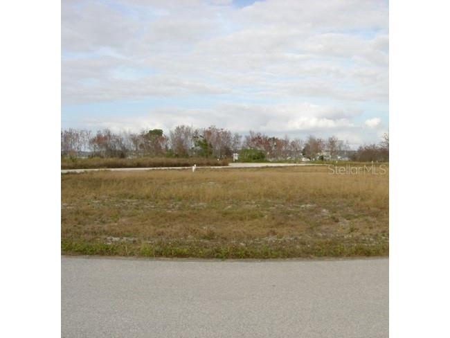 Sawgrass Run Tavares FL 32778 R4907403 image1