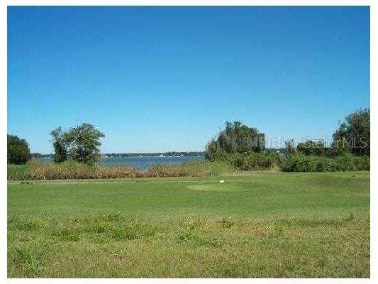 Sawgrass Run Tavares FL 32778 R4907403 image4