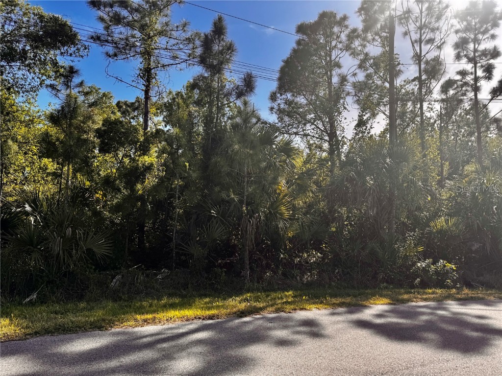 Sawyer Circle North Port FL 34288 N6138247 image13